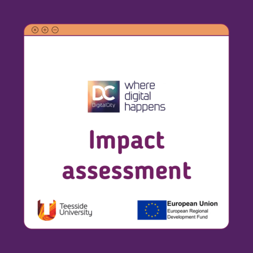 DigitalCity’s Impact Assessment